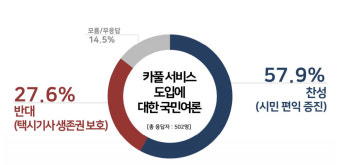 [여론조사] 카풀서비스 도입 찬성 60%...분신 사건에도 그대로