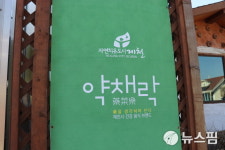 국내 식도락 여행의 최적지가 제천?…약이 되는 채소를 먹는 즐거움 만끽