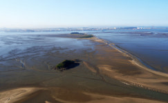 문화재청, 갯벌·김해-함안 말이산 가야고분군 유네스코 등재 신청서 제출