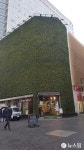 [르포] 보유세 부담 전가요? 명동 보단 강남·이태원 상권 문제 아닌가요