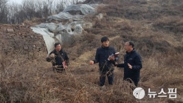 함안군, 함안 성산산성 정비사업 본격 추진