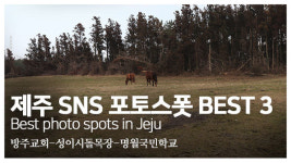[영상] #제주감성 #핫플… 제주도 여행에서 꼭 가야할 SNS 포토스폿 BEST 3