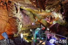 동해 천곡황금박쥐동굴 오는 6월까지 휴관