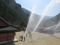 [사진]동해소방서, 삼화사 합동 소방훈련 실시