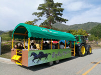 말 문화 체험과 힐링을 한번에... 마사회 전북 장수목장 개방