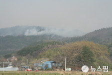 동해시 망상 산불로 산림 180ha 소실…망상오토캠핑장 56실 전소