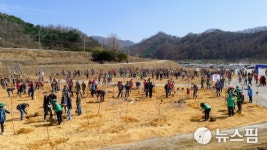 포천시, 한탄강 일원에 자작나무 1000그루 심어
