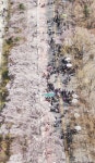 [사진] 벚꽃과 함께 더욱 즐거운 공연