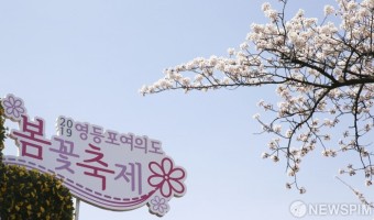 [사진] 영등포 여의도 봄꽃 축제 오세요!