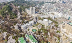 [사진] 벚꽃 가득한 회기동