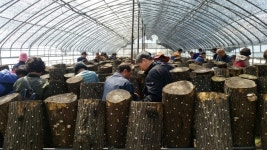 충남농기원, 서울시민 대상 귀농·귀촌 현장교육 