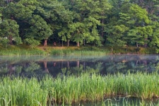  [사진] 화순군, 신록의 계절 5월의 연둔리 숲정이