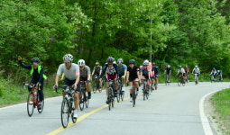 [사진] 2019 화천DMZ랠리…5000여 자전거 마니아 비무장지대 질주