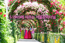 중랑천에 35m 하늘장미가 핀다 서울장미축제 