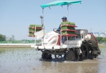 문대통령, 취임 첫 모내기 참석…경주 옥산마을서 농업인 격려