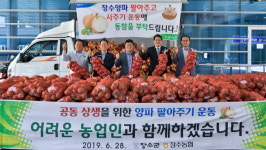 장수군, 과잉생산 양파 팔아주기 행사 개최