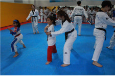 조선대학교, 광주 국제태권도아카데미 개막