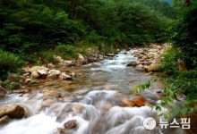 곡성군, 솔바람 치유의 숲 9월 개장