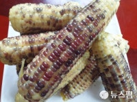 추억의 맛 곡성 삼기 흑찰옥수수 인기 만점