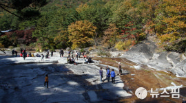 심장병 어린이 돕는 가수 수와 진 내달 15일까지 동해서 버스킹 공연 