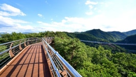 원주 소금산 출렁다리 야간개장…하늘 바람길 첫선