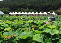 경기관광공사가 추천하는 8월 경기도 가볼만한 곳