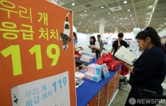 [사진] 우리 개 응급 처치는 내 손으로