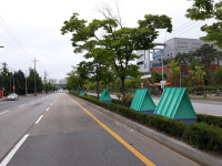 전주시, 고사위기 중앙분리대 가로수에 무동력 빗물급수장치 설치
