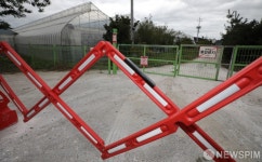 [사진] 파주 일대 양돈 농가는 긴장 상태