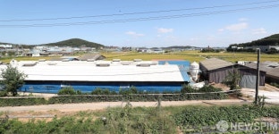 [사진] 김포 양돈농장 아프리카 돼지열병 의심 신고 접수