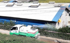 [사진] 김포 양돈농장 방역작업