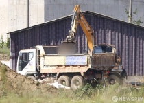 [사진] 살처분 작업중인 김포 양돈농장