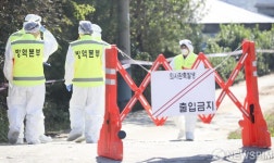 [사진] 방역작업으로 분주한 김포 통진읍