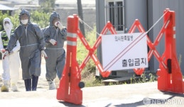[사진] 돼지열병 확진으로 통제중인 김포 통진읍