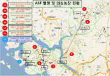 [종합] 양주시 은현면 농가 1곳 아프리카돼지열병 의심 신고…경기동부로 확산되나