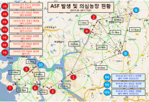 [종합] 양주시 은현면·강화군 하점면 농장 각 1곳 돼지열병 의심신고