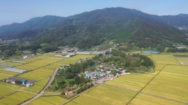 보성군, 난중일기와 명량해전·의병유적 재조명
