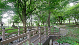 국립공원, 무장애 탐방시설 확충…20개 공원 42개 구간 무장애 탐방로 조성