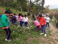 장흥군, 초등생 대상 국립천관산자연휴양림서 숲 체험 실시