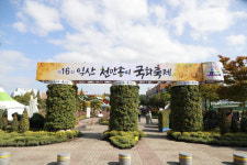 익산시, 천만송이 국화축제 개막...내달 3일까지 중앙체육공원