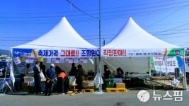 포천 개성인삼, 돼지열병으로 무산된 축제 대신 조합원이 직판 호평