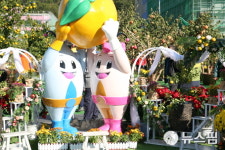 석류에 반하고 유자향에 취하다..전남고흥 유자·석류축제 개막