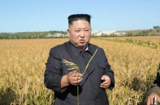 北, 경제발전 5개년 종료 앞두고 주민 다그쳐…쌀로써 사회주의 지키자