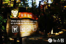 [여기!서울] 도시 속 무릉도원…붉게 물든 삼청공원의 늦가을