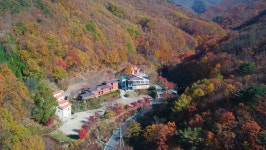 더 추워지기 전에 영동 민주지산 자연휴양림서 즐겨요