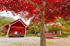 장수군, 자연휴양림 예약시스템 숲나들 e로 통합운영