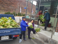 거창군 가북면 주민자치위, 직접 재배한 김장배추 경로당 기증