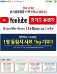 유튜브 유기동물들의 수호천사가 되어주세요 8일 생방송