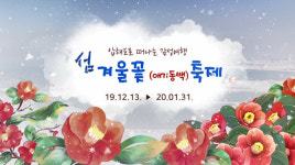 신안군, 섬 겨울꽃(애기동백) 축제 개막…내년 1월 31일까지
