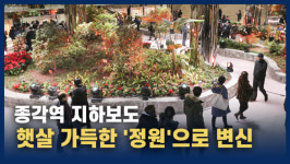 [영상] 종각역 지하보도, 햇살 가득한 정원으로 변신
